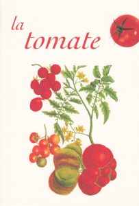 Ce n’est qu’au XVIIIe siècle que la tomate fut réhabilitée. Jusque-là, botanistes et médecins lui prêtaient des liens de parenté avec certains poisons comme la foudroyante mandragore ou la mystérieuse belladone. Archives SEITA - © MNHN